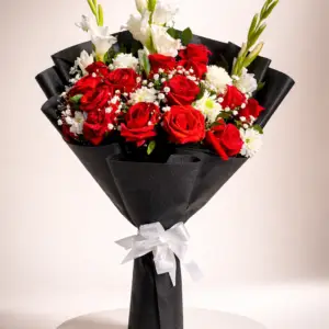 Velvet Noir & Pure Grace